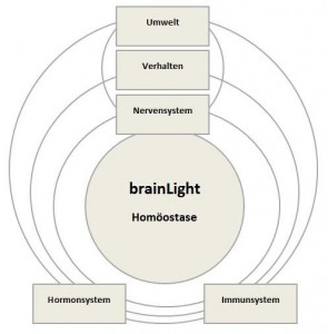 brainLight Homöostase